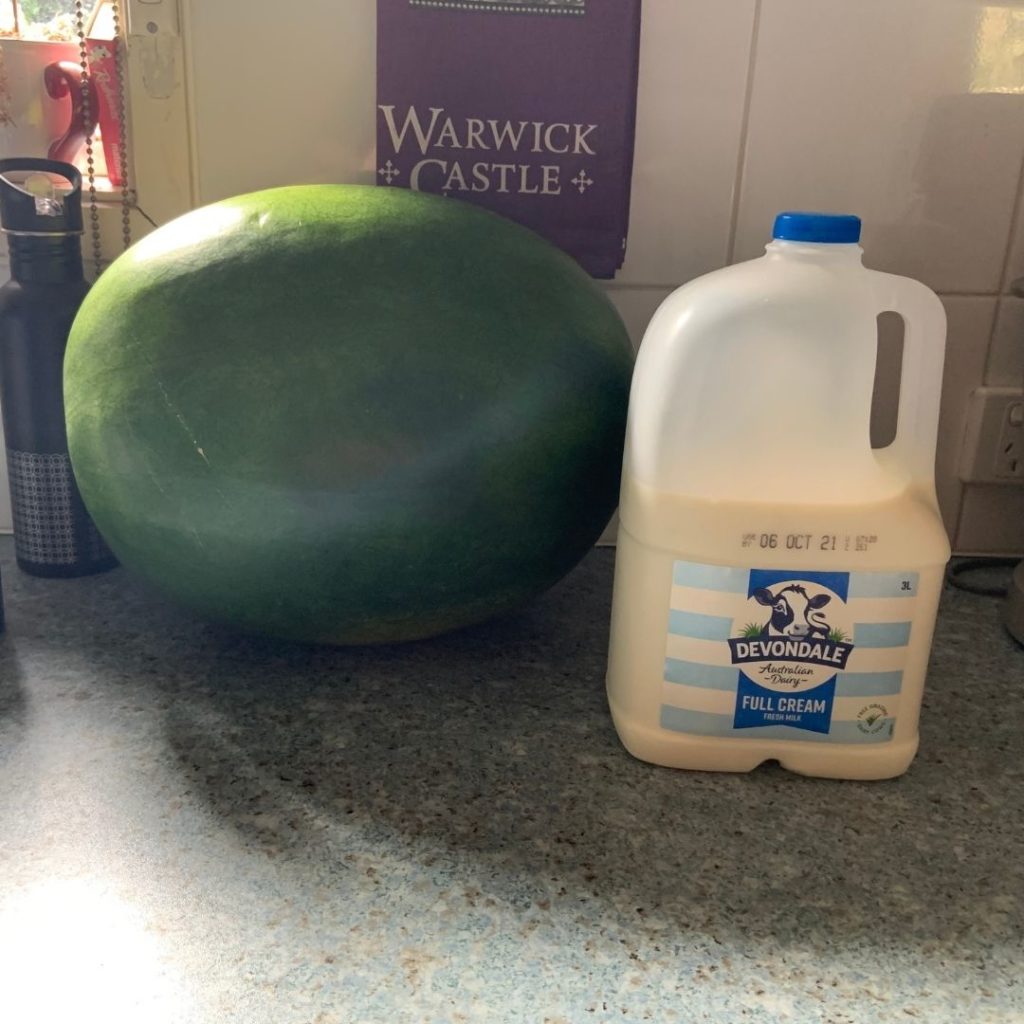 A picture of a 350mm diameter watermelon next to a 3 litre milk bottle